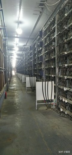 Industrial crypto mining farm in India showcasing rows of mining machines