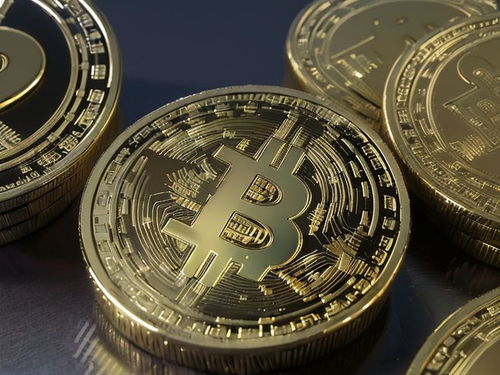 A passionate Dogecoin enthusiast contributing to the network and earning rewards through shared hosting.